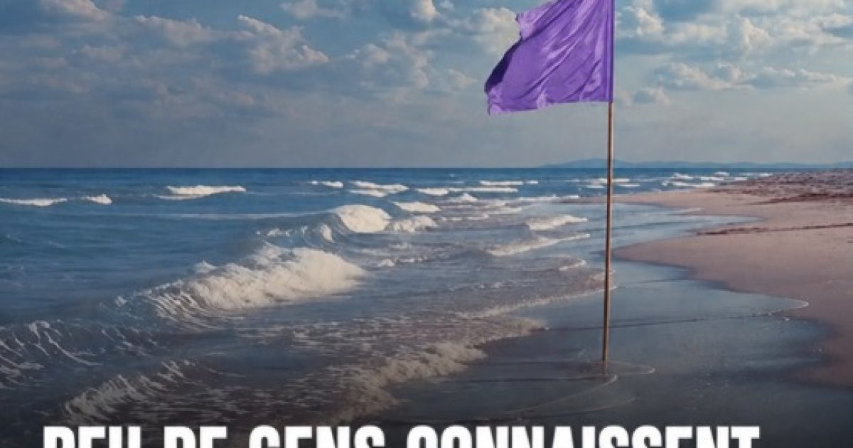 Drapeaux de plage : le guide complet pour comprendre les signaux et se baigner en sécurité