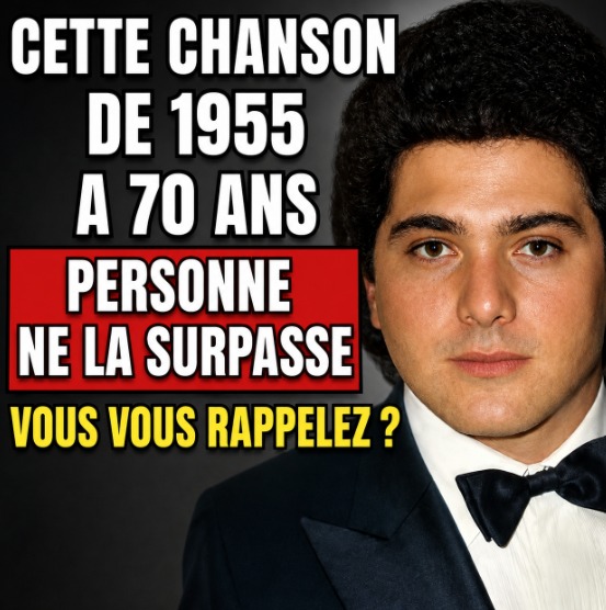 Elvis, Sinatra, Nat King Cole : les plus belles chansons des années 50 qui ne vieillissent jamais