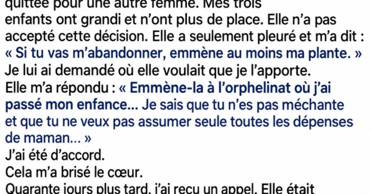 Il met sa mère en maison de retraite : après sa mort, une plante cachait un secret qui l'a brisé