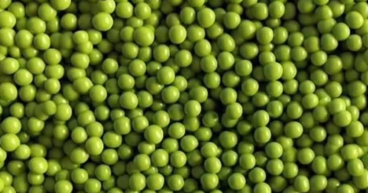 Un chat est dissimulé parmi des petits pois : saurez-vous le repérer ?