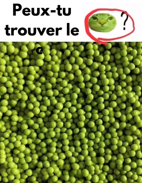 Un chat est dissimulé parmi des petits pois : saurez-vous le repérer ?