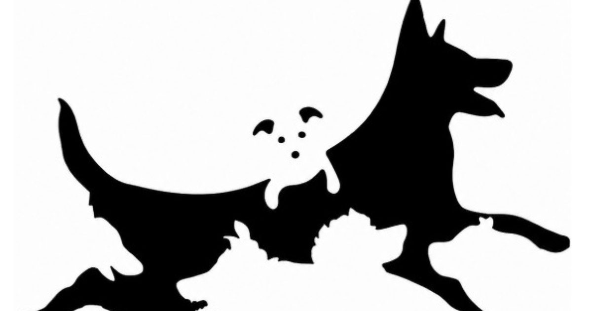 Ce test visuel des chiens cachés révèle votre véritable âge mental