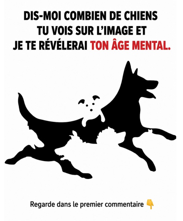 Ce test visuel des chiens cachés révèle votre véritable âge mental