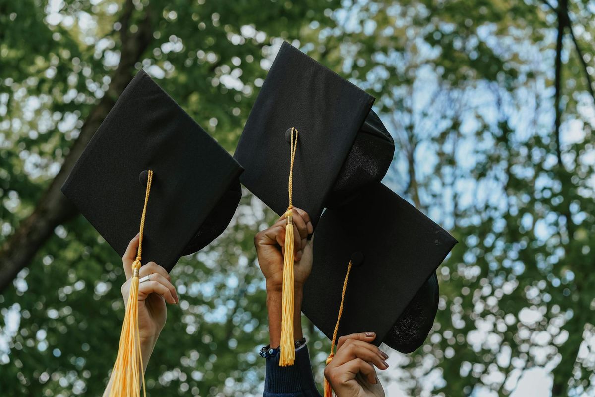 Cérémonie de remise de diplômes, deux jeunes hommes en toge souriant avec fierté