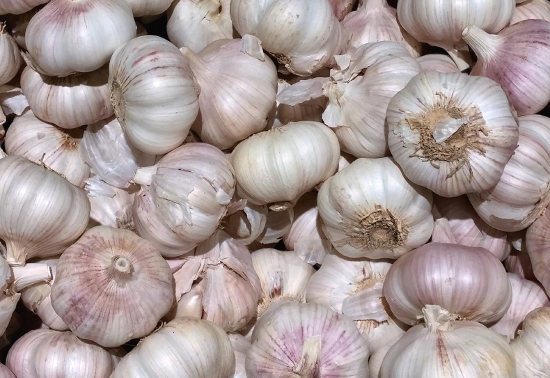 La potion secrète de vos grands-mères : 5 gousses d’ail et de la cannelle pour revitaliser vos plantes