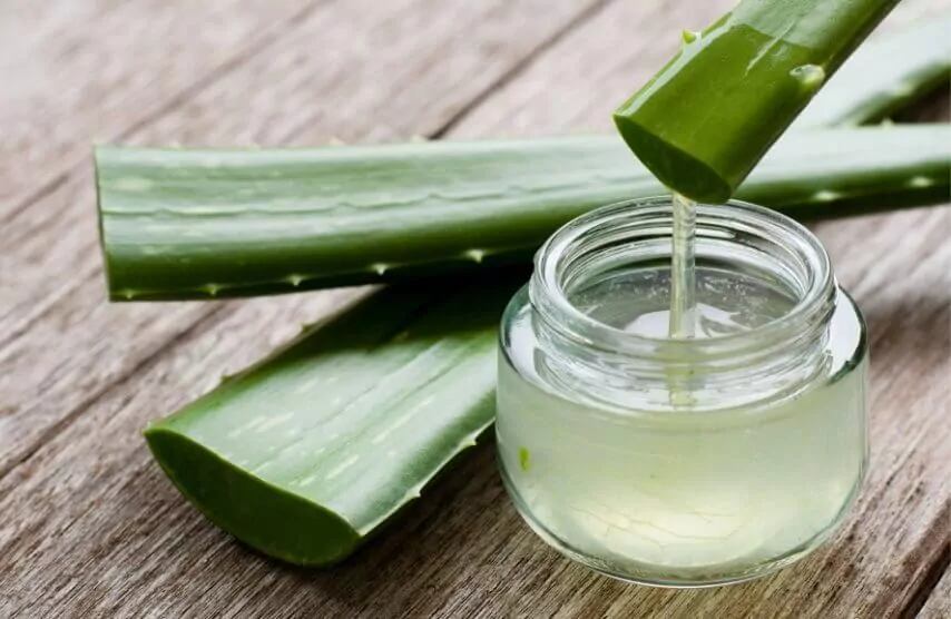 Femme appliquant de l'aloe vera sur ses cheveux
