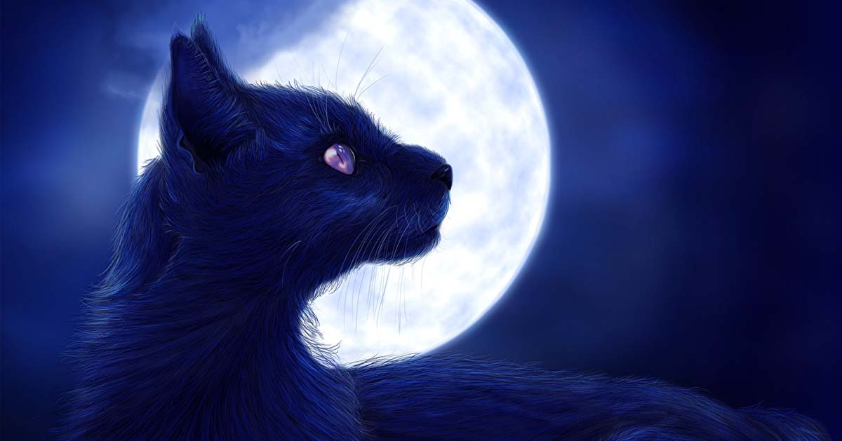 Représentation artistique d'un chat totem, symbole spirituel