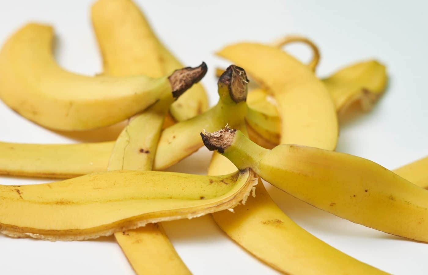 Pelures de banane fraîches posées sur une surface en bois