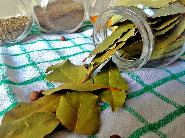 Feuilles de laurier séchées