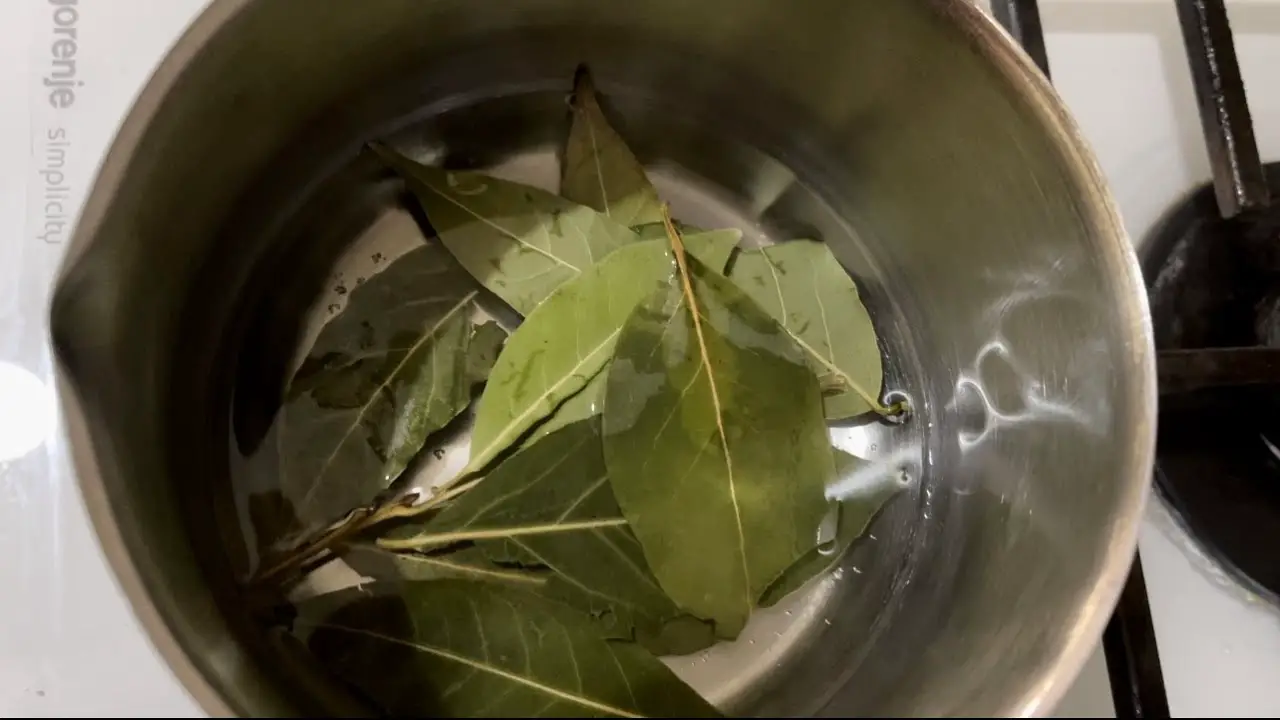 Cette astuce de grand-mère à poser 60 minutes chez vous fera fuir mouches, moustiques et cafards pour toujours