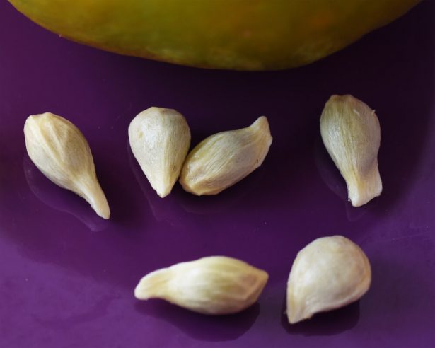 Pépins de citron sélectionnés