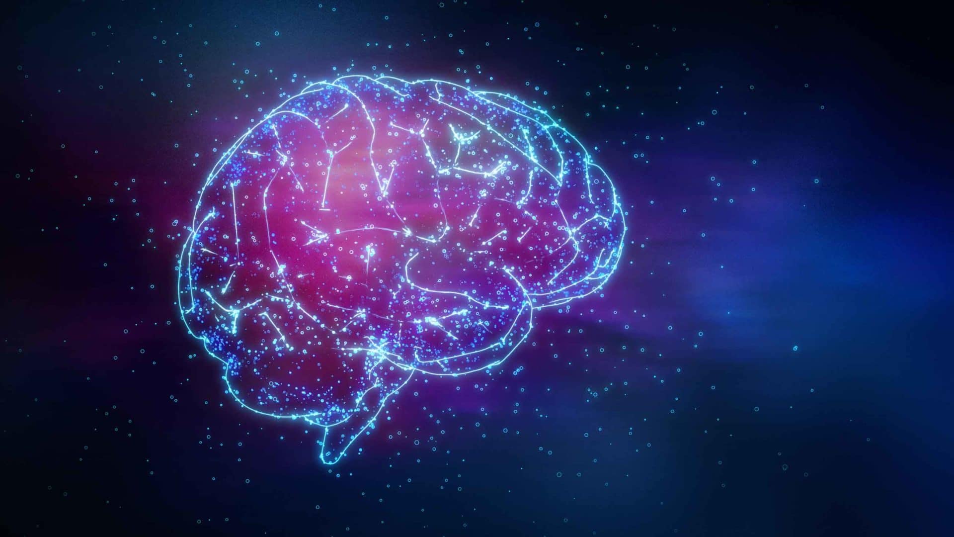 Illustration stylisée d'un cerveau en activité