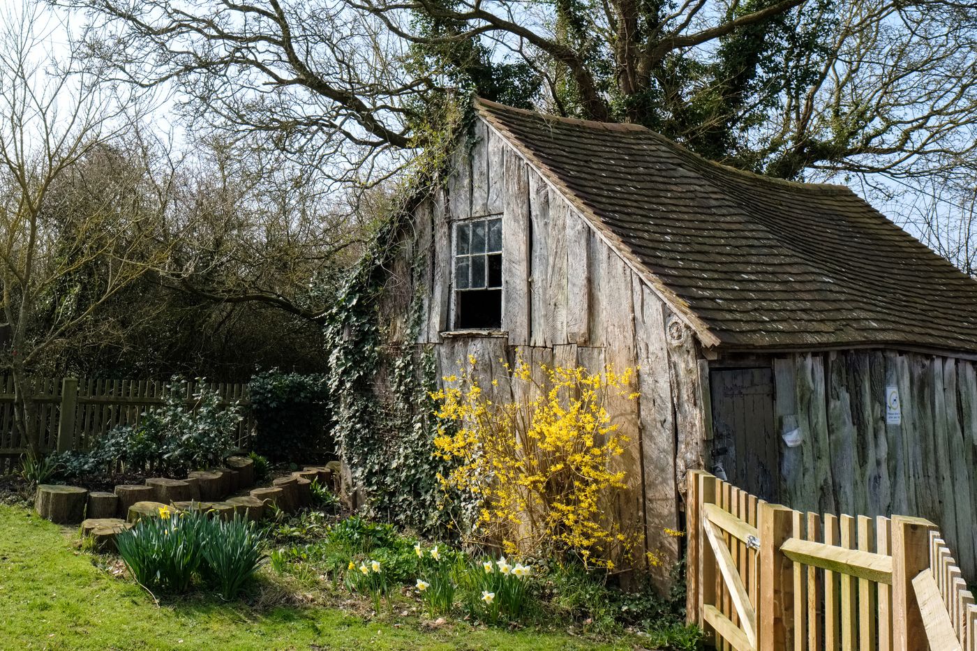 Intérieur d'une vieille cabane en bois, avec des rayons de lumière filtrant, évoquant un refuge calme et secret.
