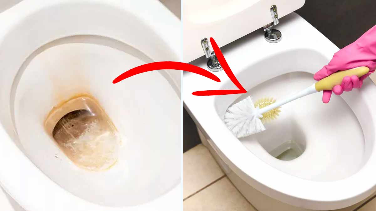 Dépôts de calcaire tenaces dans une cuvette de toilettes