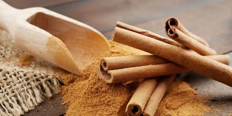 Bâtons et poudre de cannelle bio