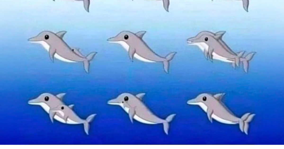 Cette illusion d'optique marine va vous faire douter de vos yeux