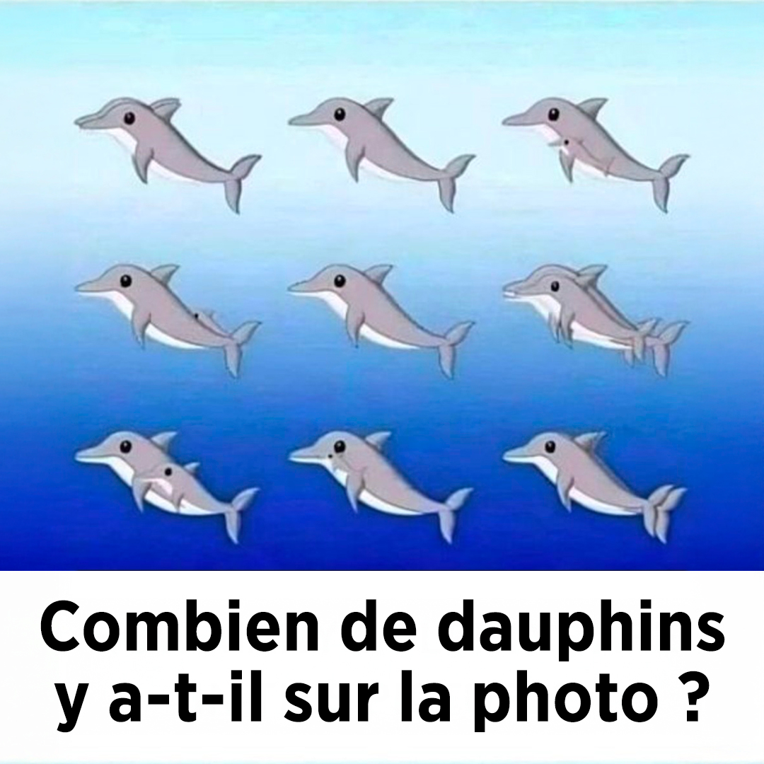 Cette illusion d'optique marine va vous faire douter de vos yeux