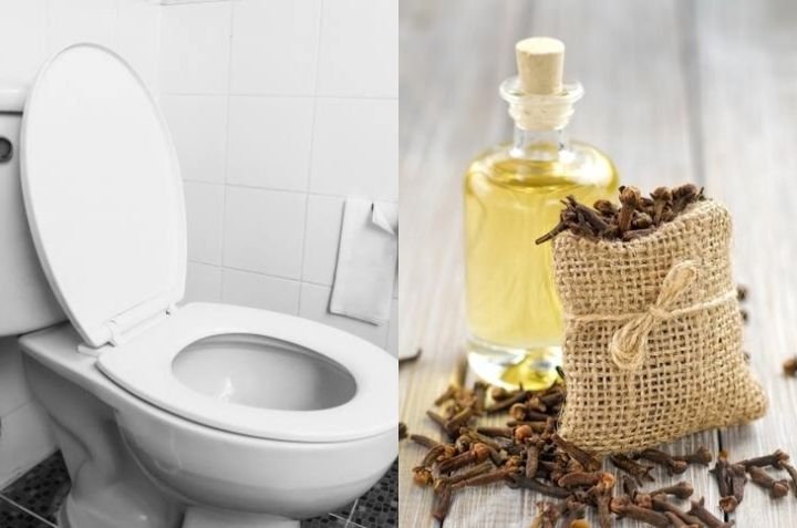 Matériel nécessaire pour désodorisant naturel aux clous de girofle