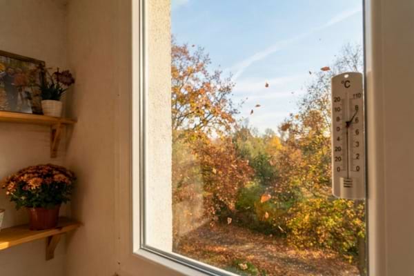 À travers la vitre bien isolée, on voit des arbres aux feuilles rousses et jaunes tombantes
