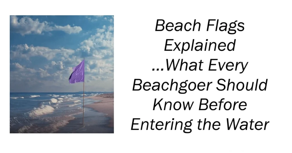 Beach Flags Explained