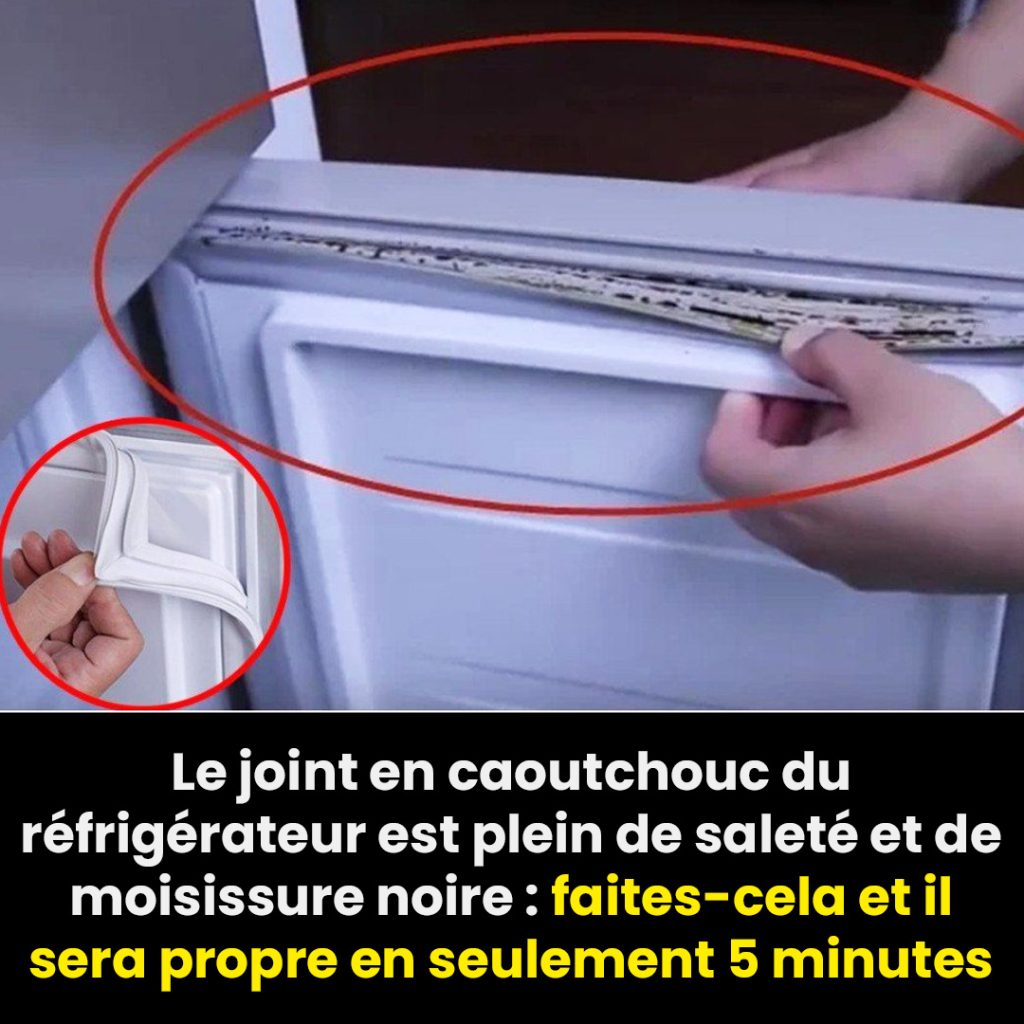 3 Astuces Efficaces pour Redonner une Seconde Jeunesse aux Joints de — free download