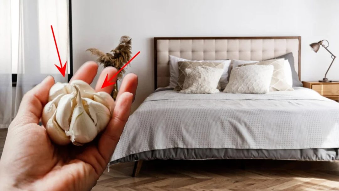 Gousse d'ail posée sur une table de chevet