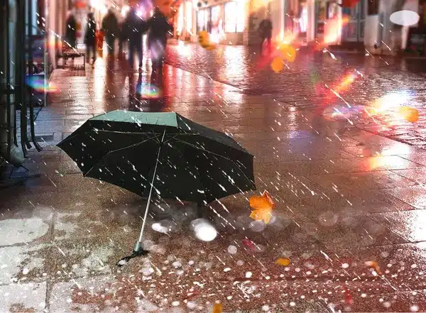 Rue pavée sous la pluie en automne