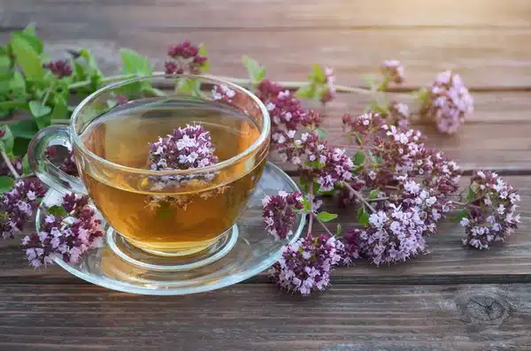 Cet aromate méconnu est un bouclier santé insoupçonné : découvrez ses secrets