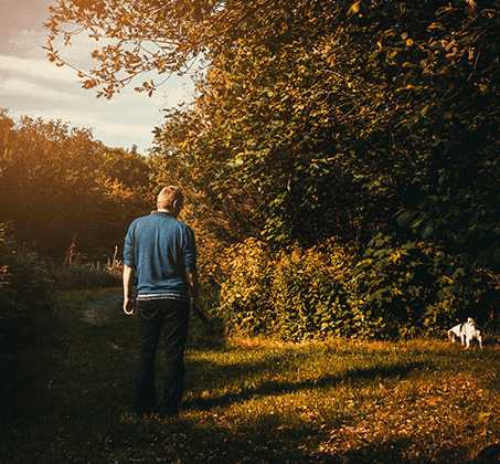 Illustration d'une urne funéraire pour animal