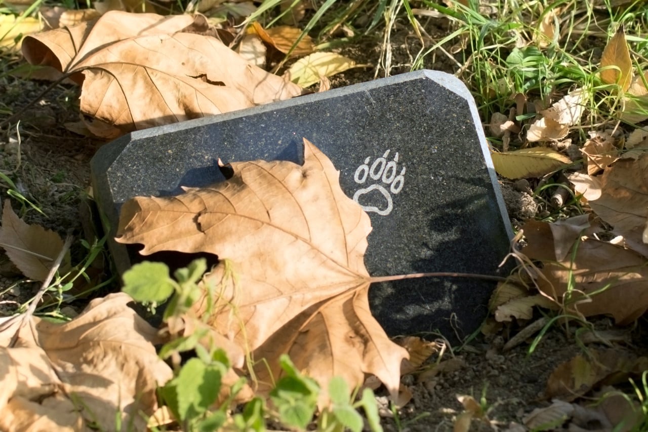 Personne creusant une fosse dans un jardin