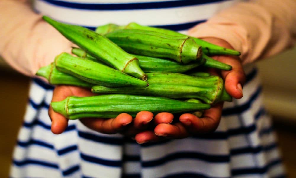 Le gombo, ce légume méconnu aux super-pouvoirs insoupçonnés