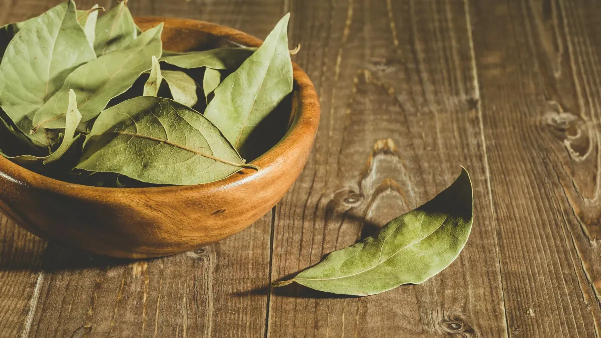 Feuilles de laurier séchées pour infusions