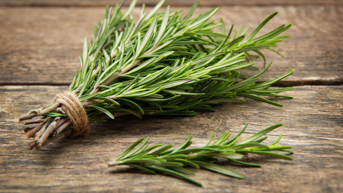 Mains veinées : d'où vient ce phénomène et comment apaiser naturellement vos veines saillantes