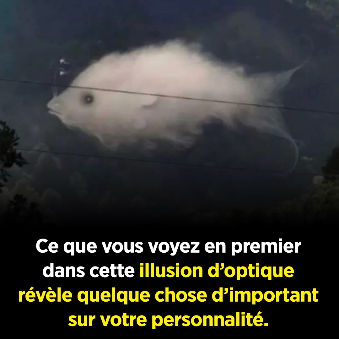 Illusion d'optique abstraite où l'on peut discerner un nuage ou un poisson