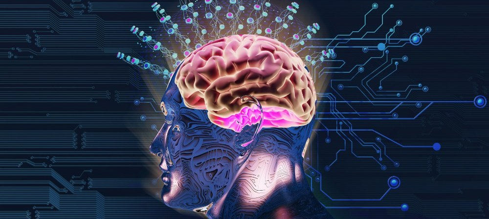 Illustration conceptuelle du cerveau et de la perception