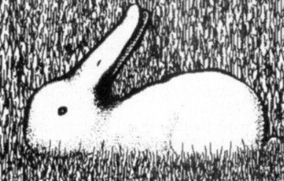 Représentation artistique et détaillée d'un lapin