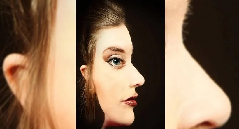 Représentation artistique d'une femme de profil, issue du test de perception