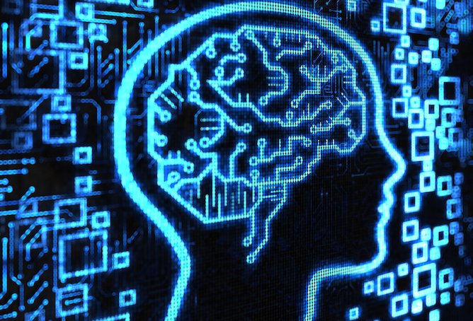 Représentation schématique du cerveau et de l'oeil