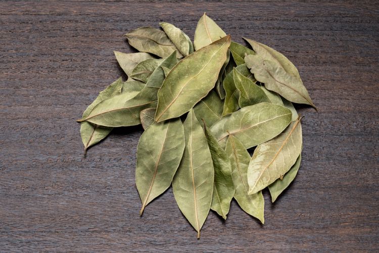 Feuilles de laurier fraîches sur une surface en bois