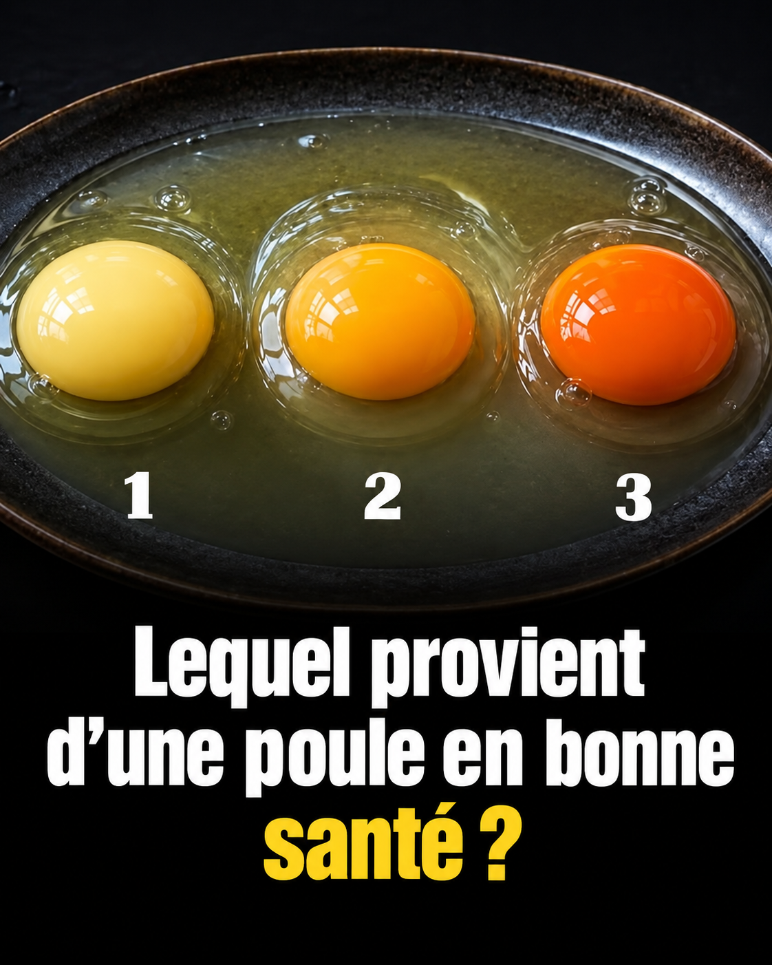 Jaune d'œuf orange ou pâle : ce que ça dit vraiment sur la qualité de votre œuf