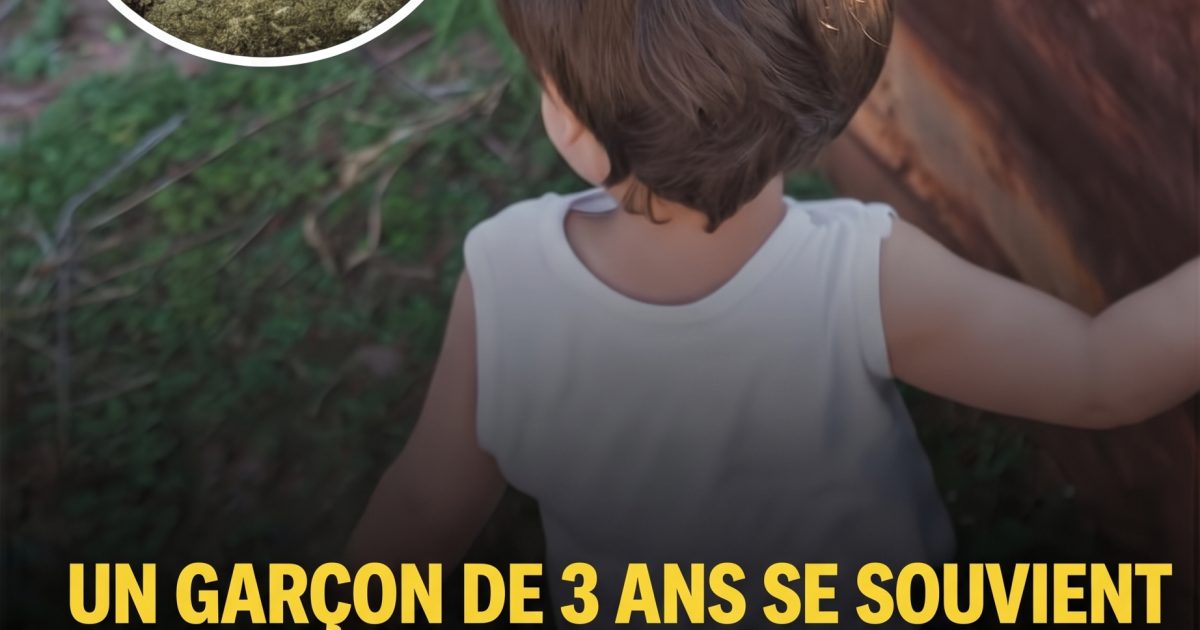 Cet enfant de 3 ans se souvient d'une vie passée : ce qu'il a révélé laisse ses parents sans voix