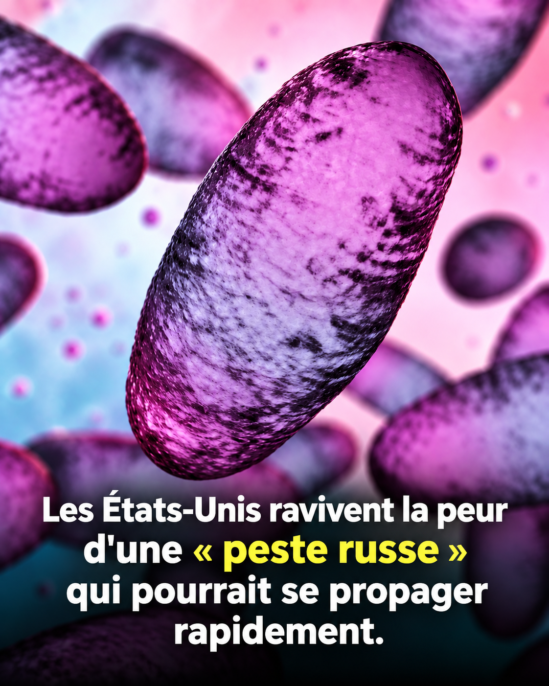 Mort suspecte en Sibérie : ce que l'on sait de l'incident qui alarme les scientifiques du monde entier