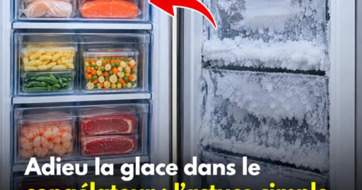 Congélateur givré : la méthode vapeur qui élimine la glace en 15 minutes chrono
