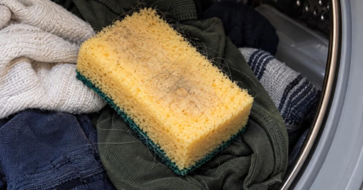 Poils d'animaux sur les vêtements : deux astuces maison incroyablement efficaces