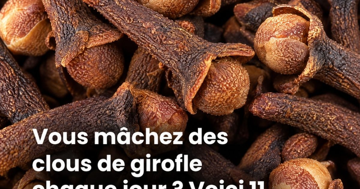 Clou de girofle : ce que mâcher cette épice quotidiennement change vraiment pour votre santé