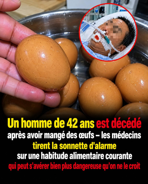 L'œuf au quotidien : bon ou mauvais pour la santé ? Ce que disent vraiment les experts