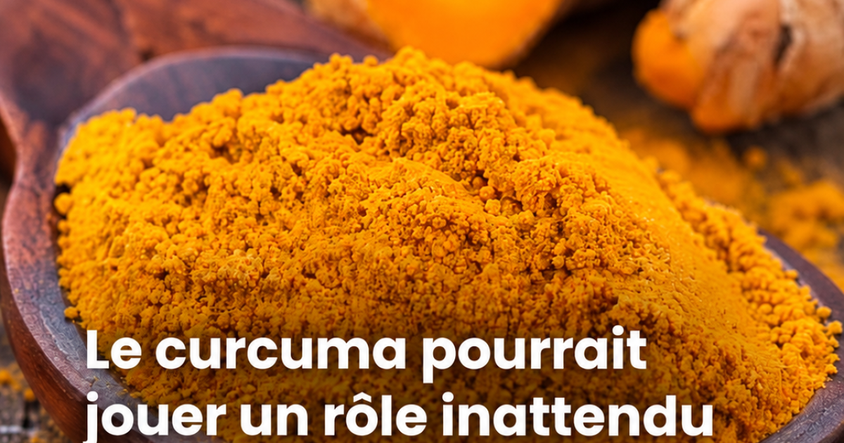 Curcuma et santé du cerveau : ce que la science révèle vraiment sur la curcumine