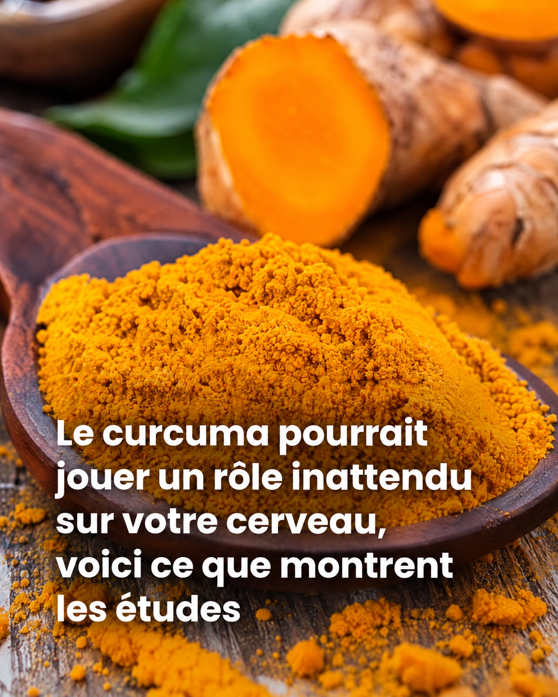 Curcuma et santé du cerveau : ce que la science révèle vraiment sur la curcumine