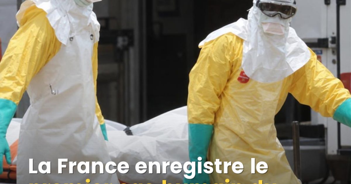 Virus Shamonda : premier décès humain en France, ce qu'il faut vraiment savoir