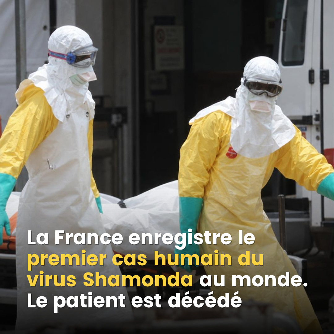 Virus Shamonda : premier décès humain en France, ce qu'il faut vraiment savoir